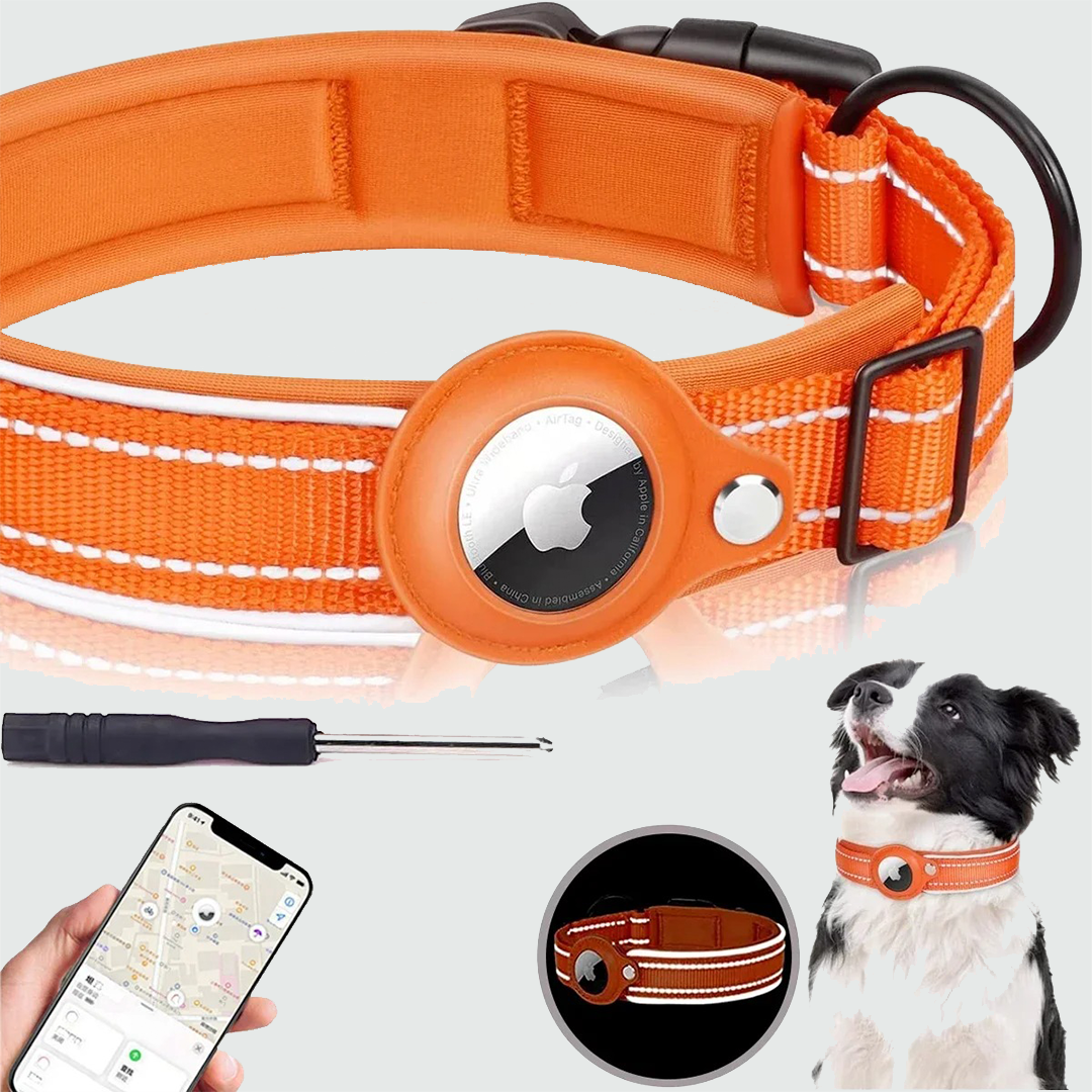 FetchPaw™ AirTag Collar